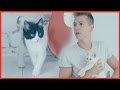 James McVey plays with KITTENS!! - The Vamps Takeover