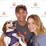 Stars Strut Their Mutts For Charity