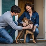 New Film Teams Up With Humane Society Of The United States To Aid Veterans Through Human-Animal Bond