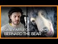 Meet Bernard, the Robotic Bear Who Talks to Tourists About His Life