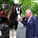 Prince Of Wales Launches New Royal Parks Charity In Hyde Park