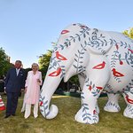 Prince Charles Hosts Reception In Support Of Endangered Elephants