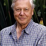 The National Audubon Society To Honor Sir David Attenborough