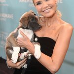 Stars Attend 2019 American Humane Hero Dog Awards