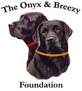 Onyx and Breezy Foundation